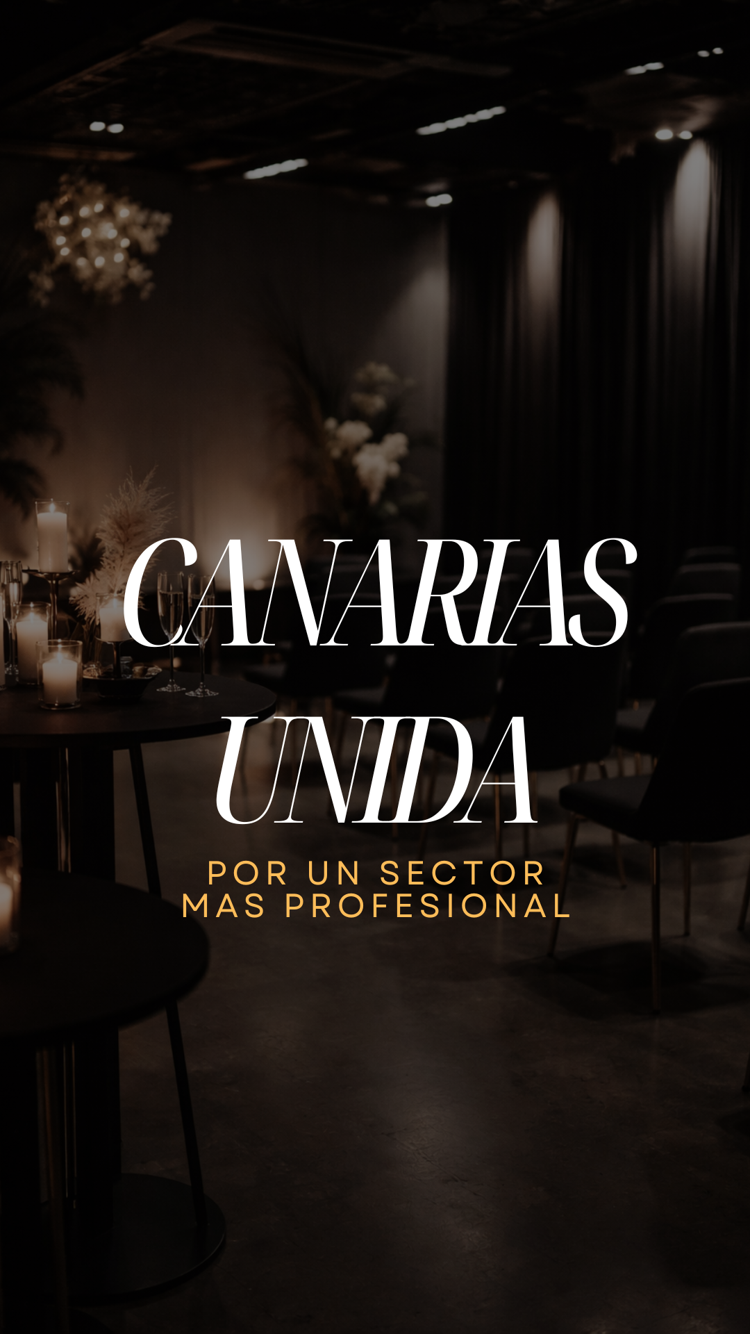 EVENTO CÍRCULO PROFESIONAL CANARIAS - ENTRADA PROFESIONAL - More than nail store